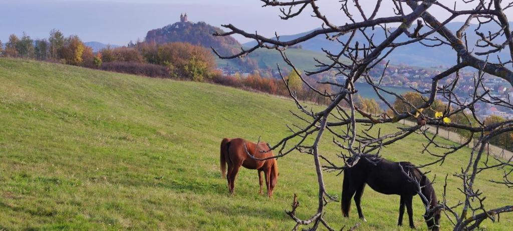 Hotel Barcadam Banská Štiavnica Екстериор снимка